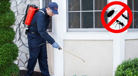 Saraydüzü Bit İlaçlama böcek ilaçlama ve haşere kontrolü — ilaclama-tr.com
